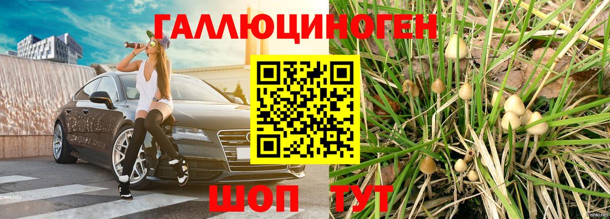 Галлюциногенные грибы ЛСД Всеволожск