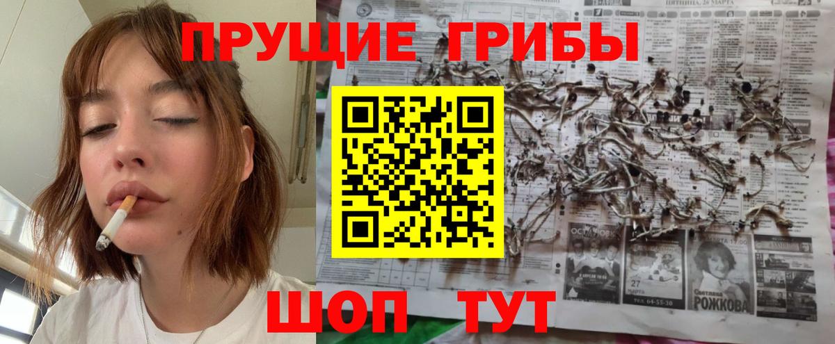 Галлюциногенные грибы прущие грибы  Галлюциногенные грибы мицелий  Всеволожск  Вход с VPN 
